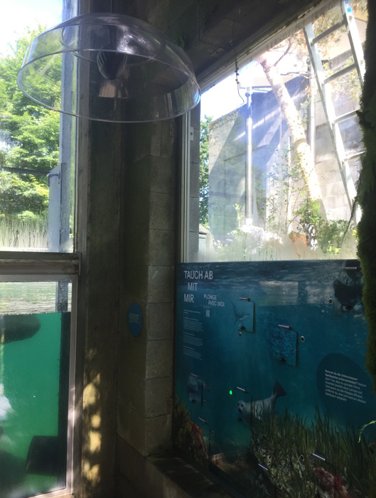 www.i-audiopoint.ch - _Tierpark Bern1